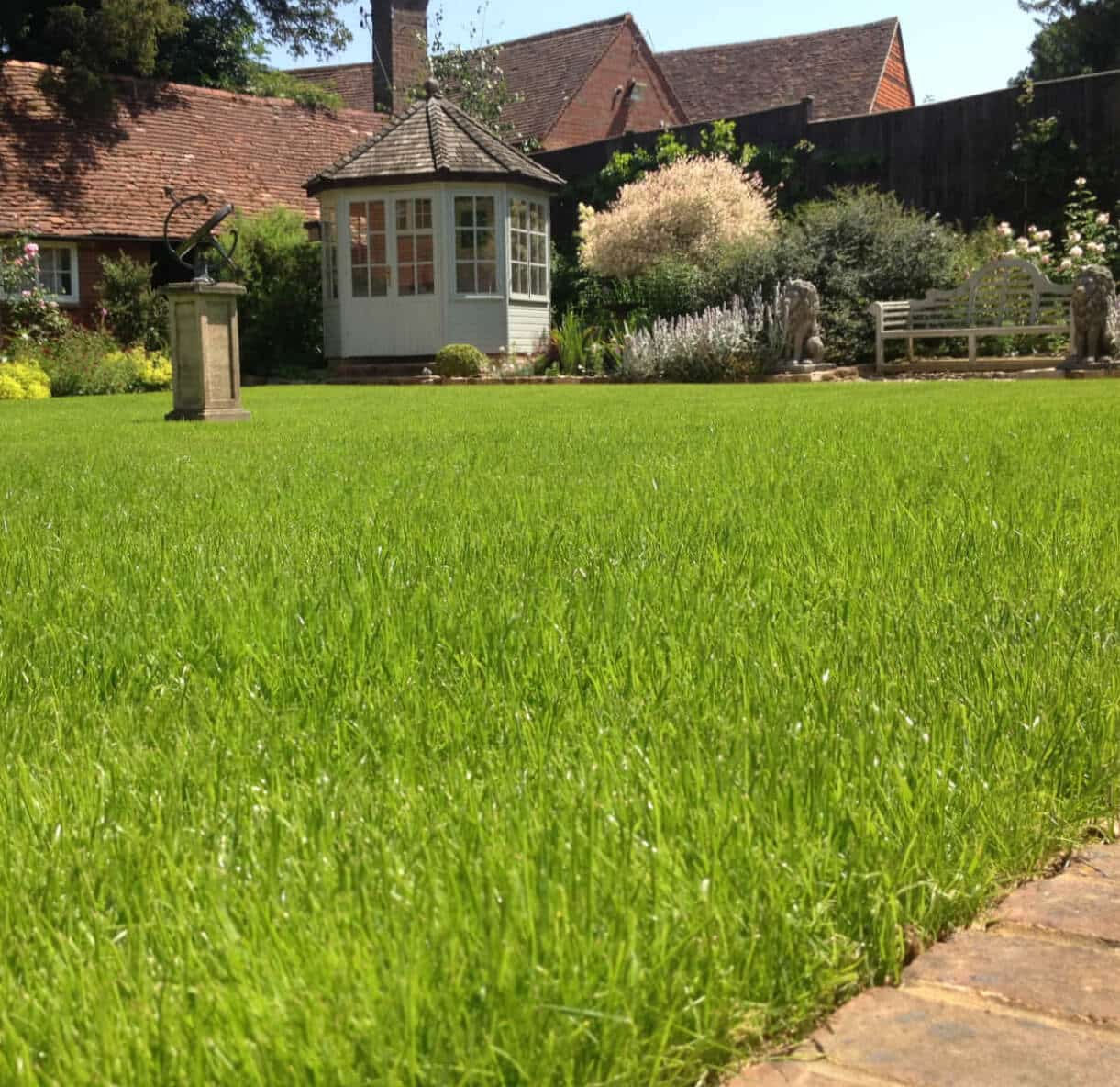 Hydroseeding After Grass Growth