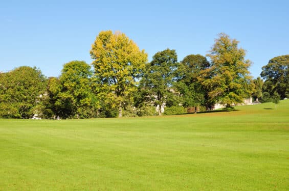 Hydroseeding County Parks and Estates